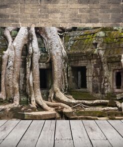 Obrázek chrámu v Angkoru