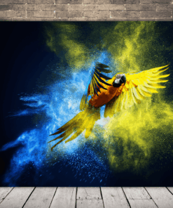 Obrázek papouška ara