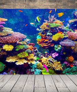 Obrázek podvodní zázraky