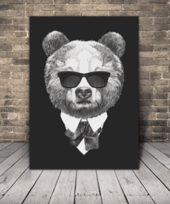 Obrázek medvídků v brýlích