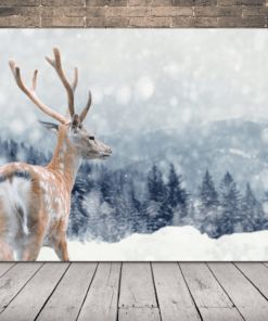 Obrázek soba na sněhu