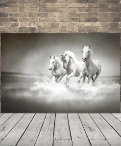 Obrázek koně ve vodě