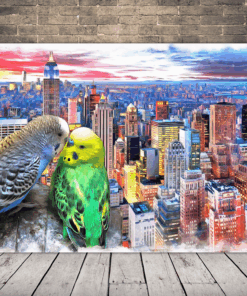 Obrázek Papoušci a město