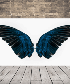 Obrázek andělských křídel