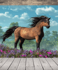 Obrázek koně a větru