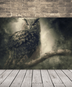 Obrázek sovy na stromě