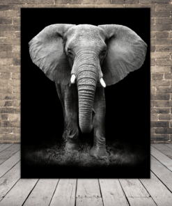 Obraz portrétu slona 2