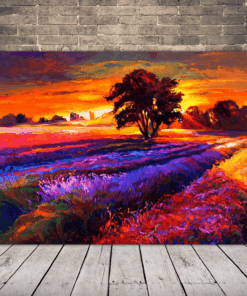 Obrázek levandulového pole při západu slunce