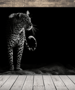 Obraz portrétu leoparda