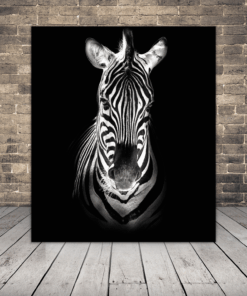 Obrázek portrétu zebry