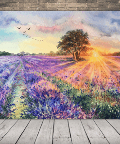 Obrázek levandulového pole