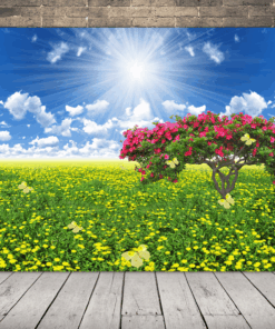 Obrázek stromu na louce