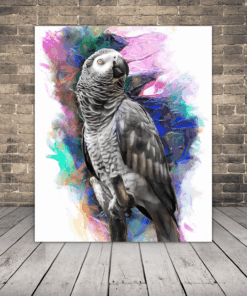 Papouška Na Barevném Pozadí