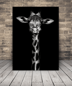 Obrázek vypadající žirafy