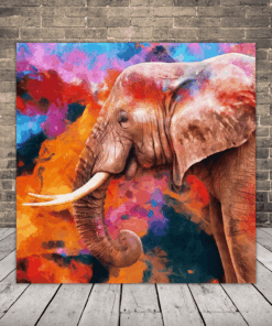 Profilový obrázek slona 2