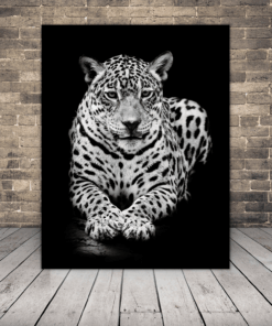 Malba ležící gepard