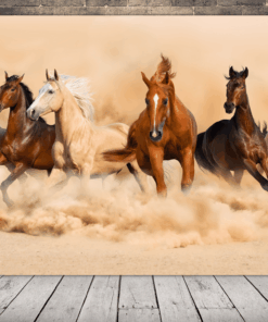 Obrázek koně ve cvalu