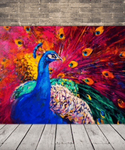 Obrázek Páv Profilu