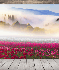 (Obrázek Mlhavé ráno