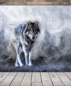 Obrázek vlka v mlze 2