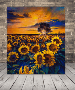 Obrázek Slunečnicového Pole