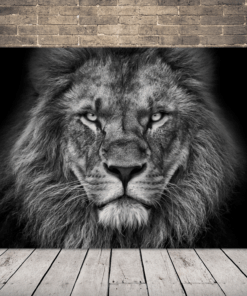 Obrázek hrdého lva