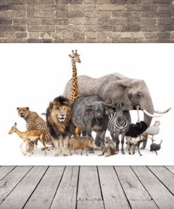 Obrázek zvířat v zoo