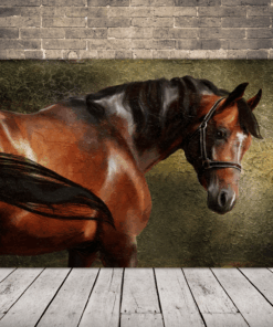 Obrázek koňského pohledu