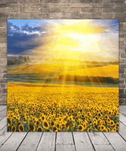 Obraz Solárního řepkového Pole