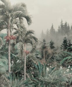 Fototapeta Bujná Vegetace V Mlze