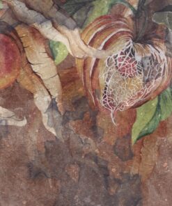 Fototapeta Teplé barvy podzimu