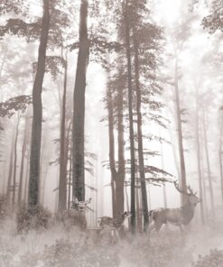 Fototapeta Dense Forest Mist