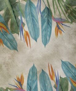 Fototapeta Barvy květu Strelitzia