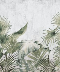 Fototapeta Palmové Listy Na šedém Pozadí