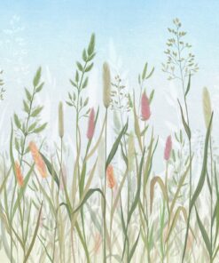 Fototapeta Okrasné trávy