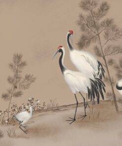 Fototapeta Rodina bílých jeřábů