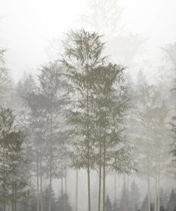 Fototapeta štíhlé Stromy V Mlze