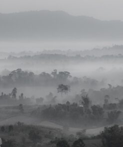 Fototapeta šedá Krajina