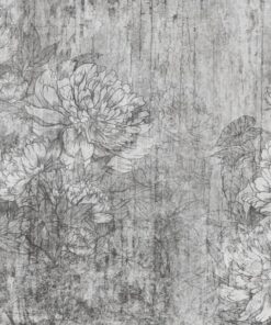 Fototapeta šedá Květina Na Zdi