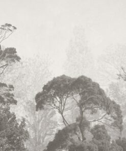 Fototapeta Exotické vrcholky stromů v mlze