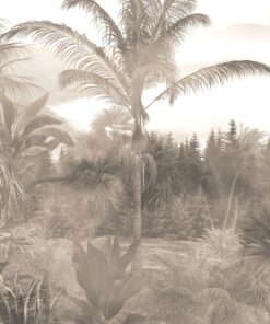 Fototapeta Tall Palm Tree In The Mist