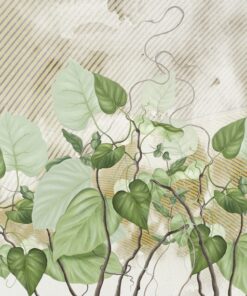 Fototapeta Green Ivy