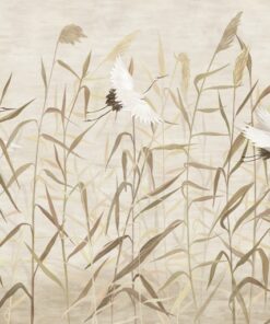 Fototapeta Jeřáby Mezi Trávou