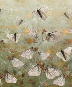 Fototapeta Stěna bílých motýlů