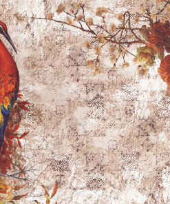 Fototapeta Červený páv