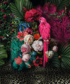 Fototapeta Růžový papoušek