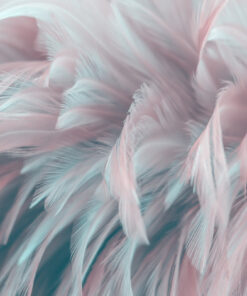 Fototapeta 3D peříčka 2