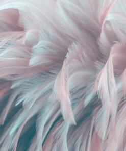 Fototapeta 3D peří