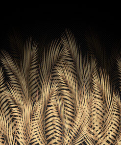 Fototapeta Elegantní černá