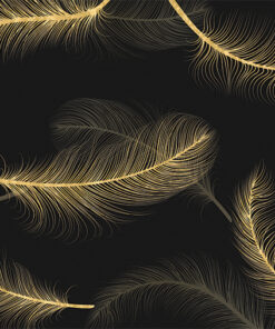 Fototapeta Peří na černém pozadí